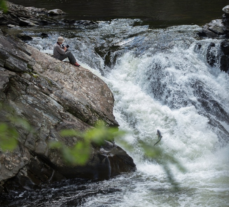 Eggefossen Gaula. Photo: Myself