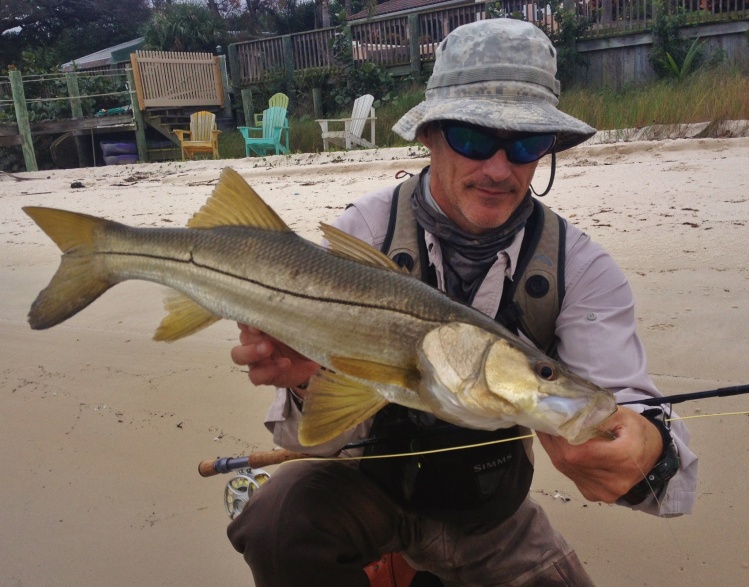 St. Lucie River sight fished snook.