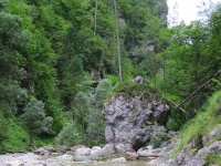 With fly rod through the beautiful gorge "Iški vintgar" 