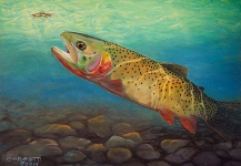 Cutthroat Fly-fishing Art – ROBERT CORSETTI - Artist  shared this Image in Fly dreamers 