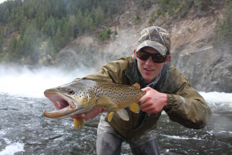 Fall in Montana brown trout