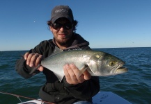 Marcelo Morales 's Fly-fishing Pic of a Bluefish - Tailor - Shad – Fly dreamers 