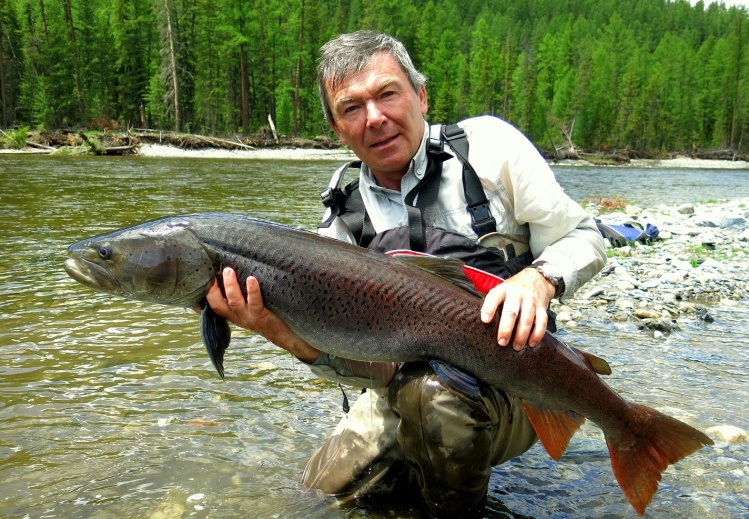 Wilderness Taimen from our float tour with a limited small party of only 5 sportsmen