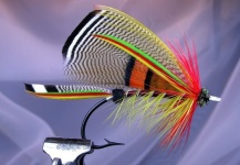 Mike Boyer 's Good Fly-tying Pic – Fly dreamers 