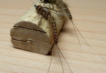  Mira esta mosca para Cutthroat de Thomas Grubert ) – Fly dreamers 