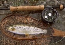 Brown trout in Pakistan