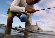 Fly-fishing Photo of Triggerfish shared by Jose Miguel Lopez Herrera – Fly dreamers 