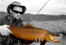Tomás Fernández 's Fly-fishing Picture of a Brown trout – Fly dreamers 