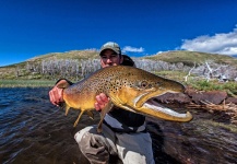Gerhard Laubscher 's Fly-fishing Pic of a brown trout – Fly dreamers 