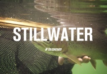 Stillwater Fly Fishing