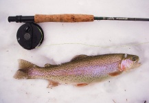 Brad Billings 's Fly-fishing Image of a Rainbow trout – Fly dreamers 