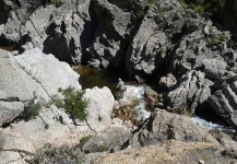 Interesting Fly-fishing Situation of Rainbow trout - Picture shared by Juan Pablo Villalobo – Fly dreamers