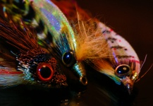Brant Fageraas 's Fly-tying for European seabass - Picture – Fly dreamers 