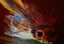 Fly-tying for European seabass - Pic by Brant Fageraas 