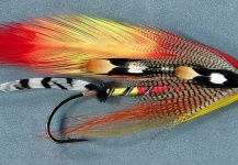 Mike Boyer 's Fly for Brook trout - Picture – Fly dreamers 