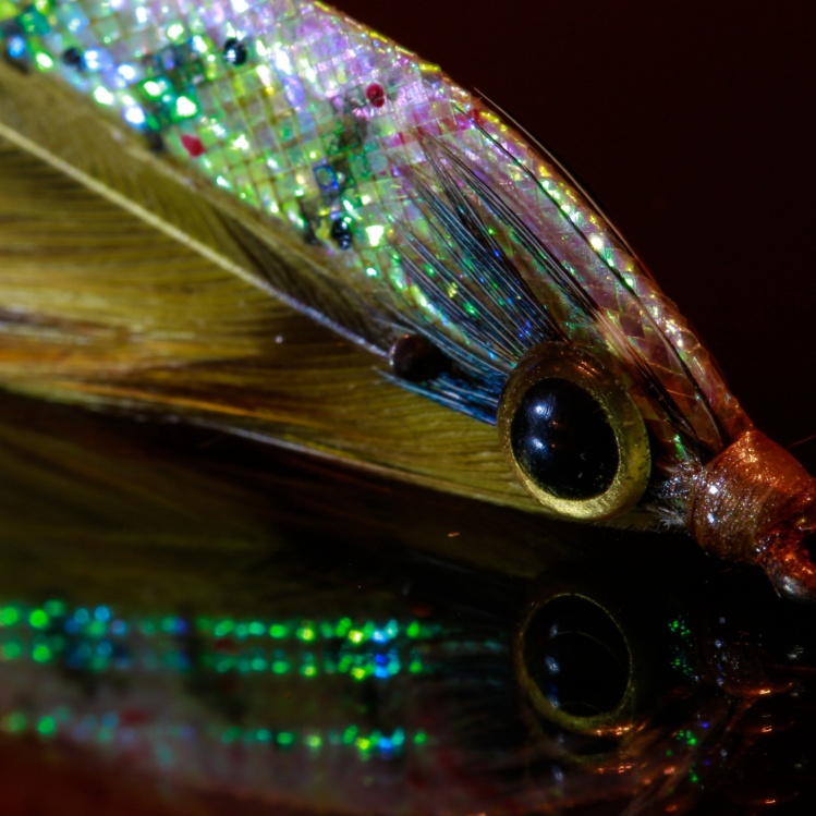 Seabass fly