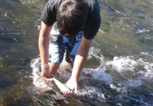 Impressive Fly-fishing Situation of Rainbow trout - Picture shared by Javier Gomez – Fly dreamers