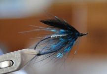 Fly-tying for Steelhead - Pic shared by Pablo Bianchini – Fly dreamers 