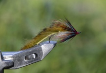 Good Fly-tying Photo shared by Pablo Bianchini – Fly dreamers 