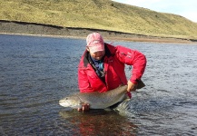 Fly-fishing Photo of Brown trout shared by Ignacio Pereira – Fly dreamers 