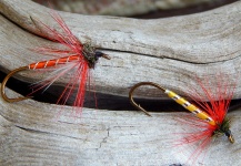 Fly for Brook trout shared by Alan Petrucci – Fly dreamers 