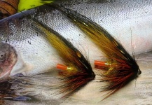 Ismo Lintula 's Fly-tying for Sea-Trout - Image – Fly dreamers 