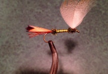 Fly-tying Pic shared by Brian Sheppard – Fly dreamers 
