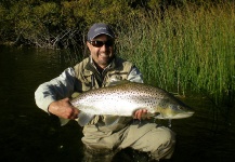 Fly-fishing Picture of Brown trout shared by Gamba Martinez – Fly dreamers
