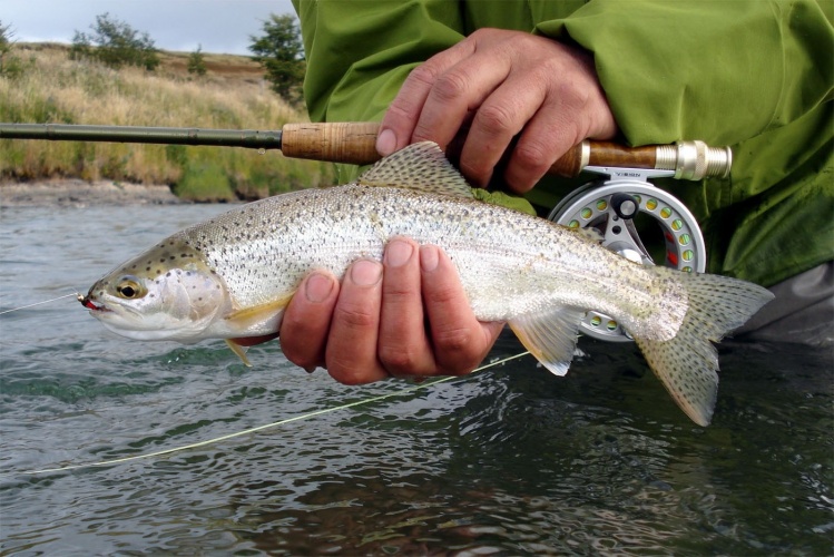 www.lavaguada.cl: Ninfeando, otro gran momento VISION Fly fishing.