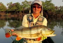  Captura en Pesca con Mosca de Tucunare - Pavón por CARLOS ESTEBAN RESTREPO – Fly dreamers