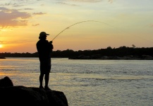  Payara o Cachorra – Excelente Situación de Pesca con Mosca – Por CARLOS ESTEBAN RESTREPO