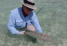 Christopher Hall 's Fly-fishing Image of a Bonefish – Fly dreamers 