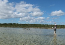 Bonefishing in Bahamas