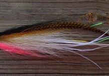 Jack Denny 's Fly for Striped Bass - Image – Fly dreamers 