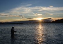 Nice Fly-fishing Situation of Steelhead - Picture shared by Pablo Santiago Del Bustio – Fly dreamers