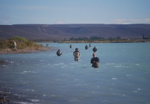 Steelhead Fly-fishing Situation – Pablo Santiago Del Bustio shared this Photo in Fly dreamers 