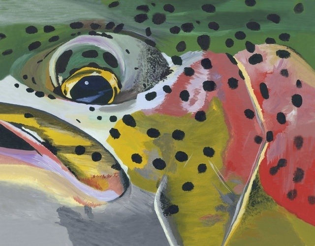 Rainbow Trout Face