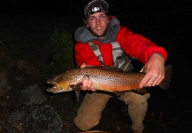 Fly-fishing Image of Brown trout shared by Cameron Rhodes – Fly dreamers