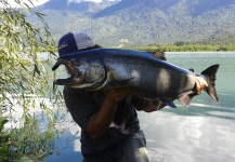 Alejo Amadeo 's Fly-fishing Catch of a King salmon – Fly dreamers 