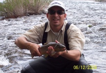 Fly-fishing Pic of Brown trout shared by PABLO GENTILE – Fly dreamers 