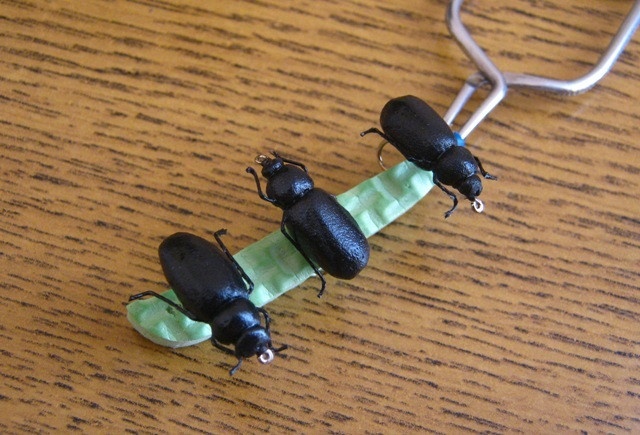 Black foam bugs