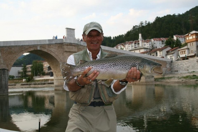 Strun- Zubatak (Salmo Dentex) Balkan endemic fish species 