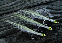 Jack Denny 's Fly for Striper - Image – Fly dreamers 