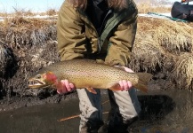 Jeremy Clark 's Fly-fishing Catch of a Cutty – Fly dreamers 