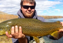 Shane Ritter 's Fly-fishing Image of a Tiger Trout – Fly dreamers 