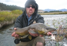  Fotografía de Pesca con Mosca de Trucha marrón por Jeremy Clark – Fly dreamers 