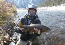 Jeremy Clark 's Fly-fishing Image of a Brown trout – Fly dreamers 