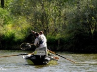 Foto de pesca con mosca