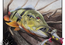 Sweet Fly-fishing Art Photo shared by Nick Laferriere – Fly dreamers 