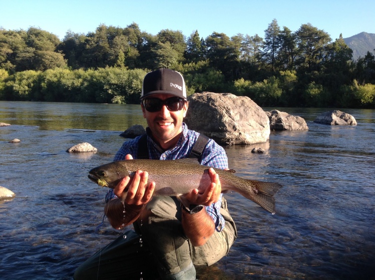 Arcoiris.  Rio Trancura, Pucon-Chile.
Equipo usado:
Caña: Sage VXP 
Linea: Rio sinking tip
Lider: 3x
Streamer: Variacion Wooly Bugger